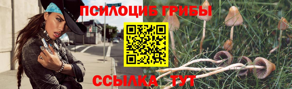 Галлюциногенные грибы Cubensis Новосибирск